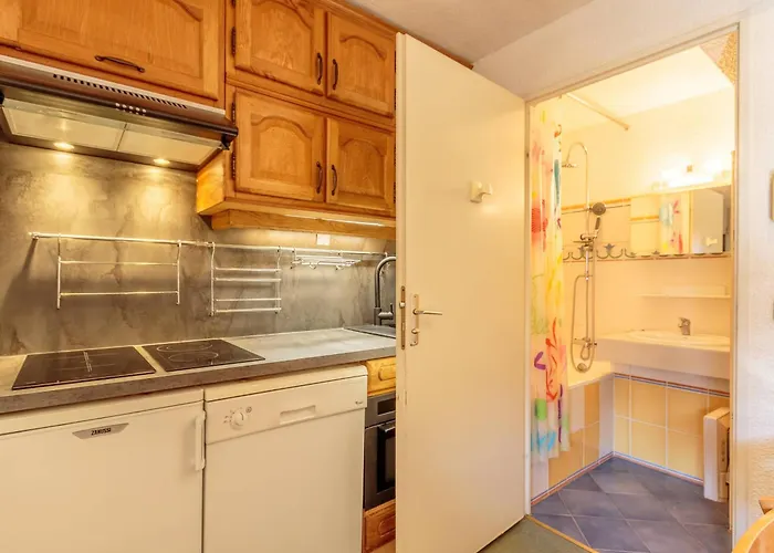 Lägenhet Lumineux Avec Wifi Et Acceptant Les Animaux A Plagne Soleil, 6 Personnes - Fr-1-351-3